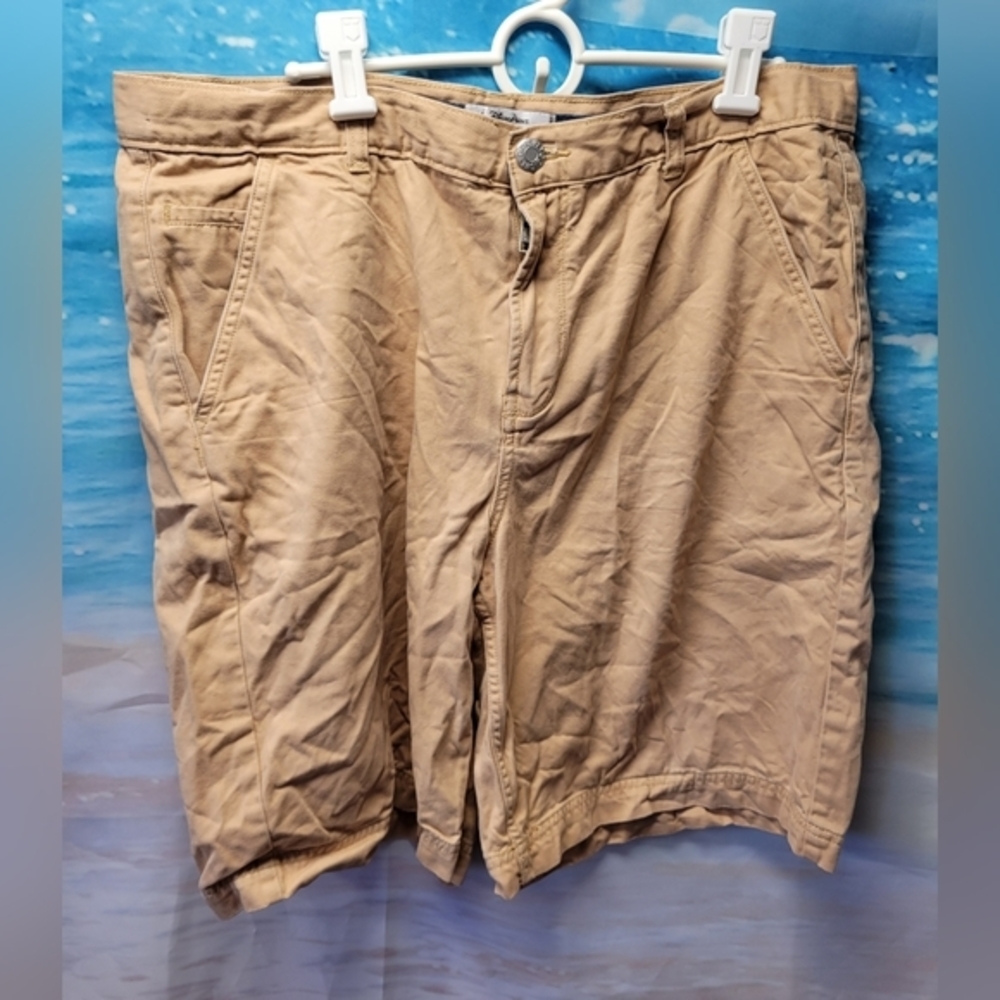 Disney Parks Mens Cargo Shorts‎ Size 36